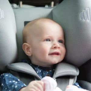 b=car seat cleaning